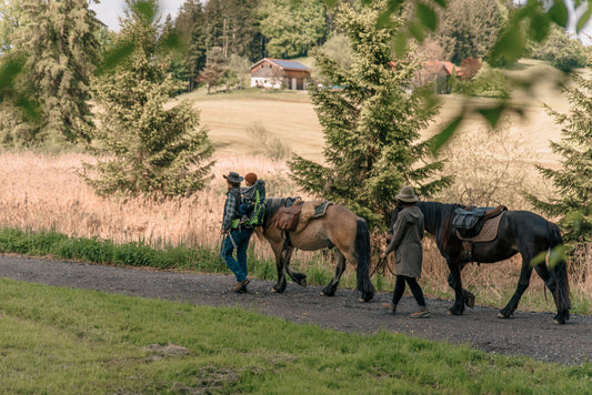 Mit unseren Pferden vom Allgäu zum Bodensee